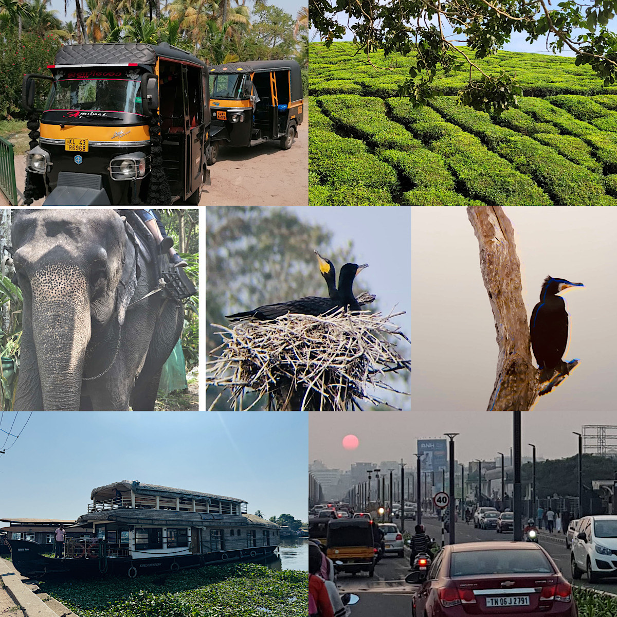 Fotos der Pilgerreise nach Indien (c) Pater Amar Fotos der Pilgerreise nach Indien