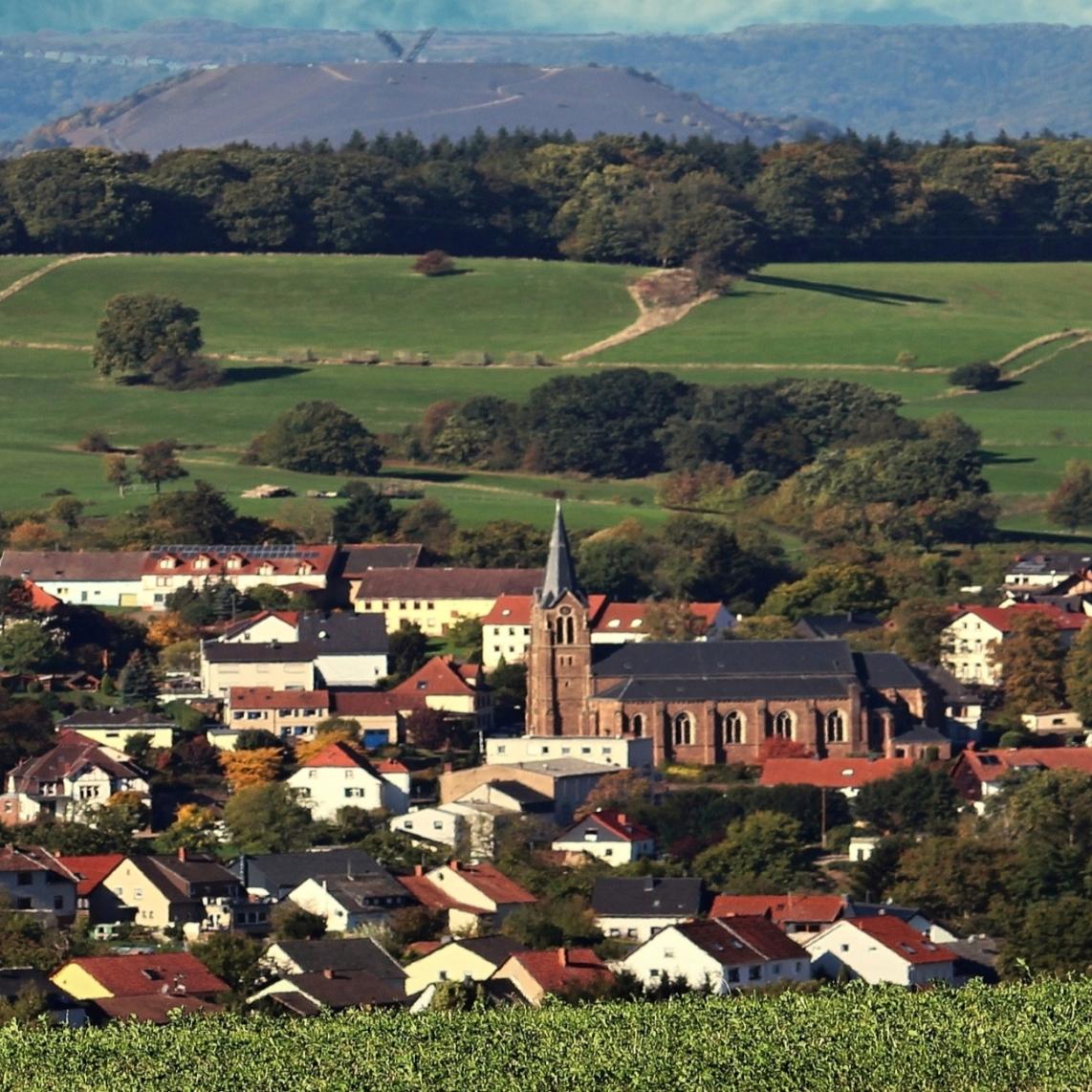 Blick auf Köllerbach mit Saar-Polygon im Hintergrund